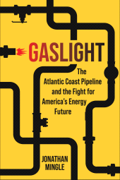E-book, Gaslight : The Atlantic Coast Pipeline and the Fight for America's Energy Future, Princeton University Press