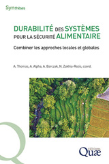 E-book, Durabilité des systèmes pour la sécurité alimentaire : Combiner les approches locales et globales, Thomas, Alban, Éditions Quae