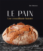 E-book, Le pain : Une croustillante histoire, Éditions Quae