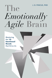 E-book, The Emotionally Agile Brain : Mastering the 12 Emotional Needs that Drive Us, Rowman & Littlefield