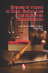 E-book, Proceso de amparo en Cuba : Reflexiones a dos años de su implementación, RUTH Casa Editorial
