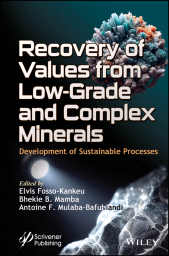 E-book, Recovery of Values from Low-Grade and Complex Minerals : Development of Sustainable Processes, Scrivener Publishing
