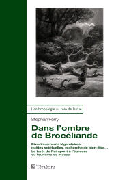 E-book, Dans l'ombre de Brocéliande : Divertissements légendaires, quêtes spirituelles, recherche de bien-être... La forêt de Paimpont à l'épreuve du tourisme de masse, Téraèdre