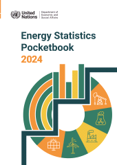 m, Energy Statistics Pocketbook 2024, United Nations Publications