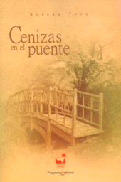 E-book, Cenizas en el puente, Universidad del Valle