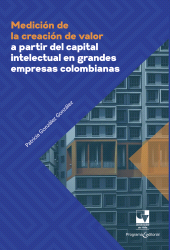 E-book, Medición de la creación de valor a partir del capital intelectual en grandes empresas colombianas, Universidad del Valle