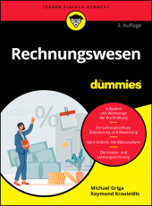 E-book, Rechnungswesen für Dummies, Wiley-VCH