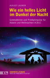E-book, Wie ein helles Licht im Dunkel der Nacht : Gottesdienste und Predigtimpulse für Advent und Weihnachten A / B / C, Verlag Friedrich Pustet