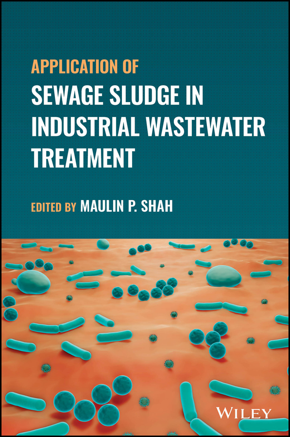 E-book, Application of Sewage Sludge in Industrial Wastewater Treatment, John Wiley & Sons
