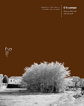 E-book, C'è campo : Il futuro della città visto dal suolo, Firenze University Press