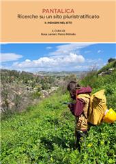 E-book, Pantalica : ricerche su un sito pluristratificato : II, Edizioni Quasar