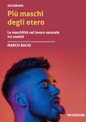 E-book, Più maschi degli etero : le maschilità nel lavoro sessuale tra uomini, PM edizioni