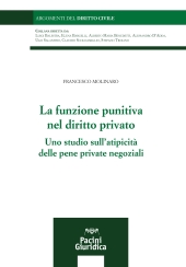 eBook, La funzione punitiva nel diritto privato : uno studio sull'atipicità delle pene private negoziali, Pacini Editore