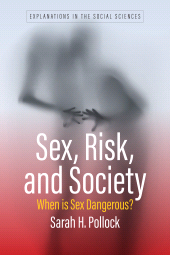 E-book, Sex, Risk, and Society : When Is Sex Dangerous?, Berghahn Books