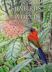 eBook, Sunbirds of the World : Sunbirds, Flowerpeckers, Spiderhunters and Sugarbirds, Second Edition, Helm