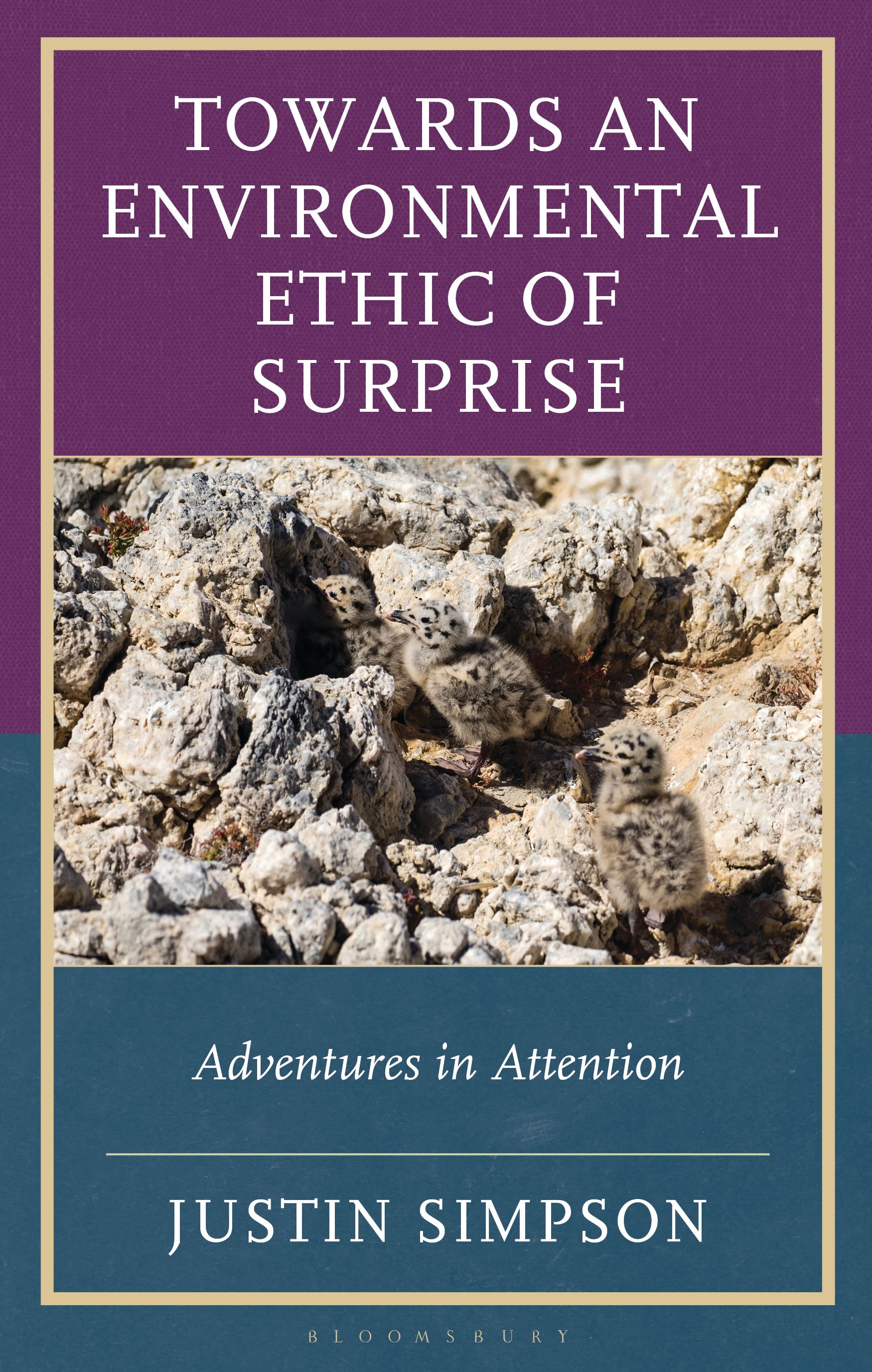 E-book, Towards an Environmental Ethic of Surprise : Adventures in Attention, Bloomsbury Academic