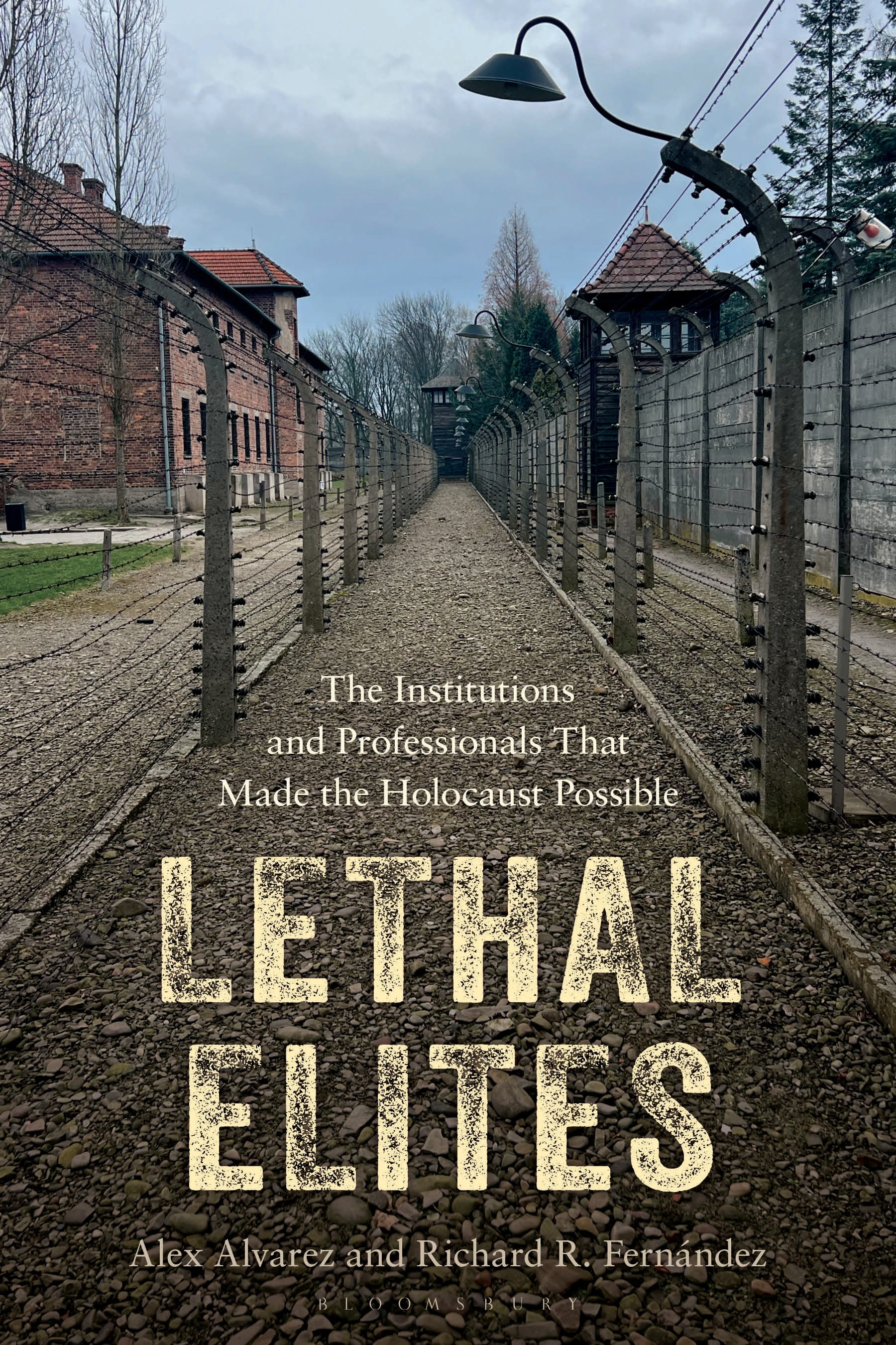 E-book, Lethal Elites : The Institutions and Professionals That Made the Holocaust Possible, Bloomsbury Academic
