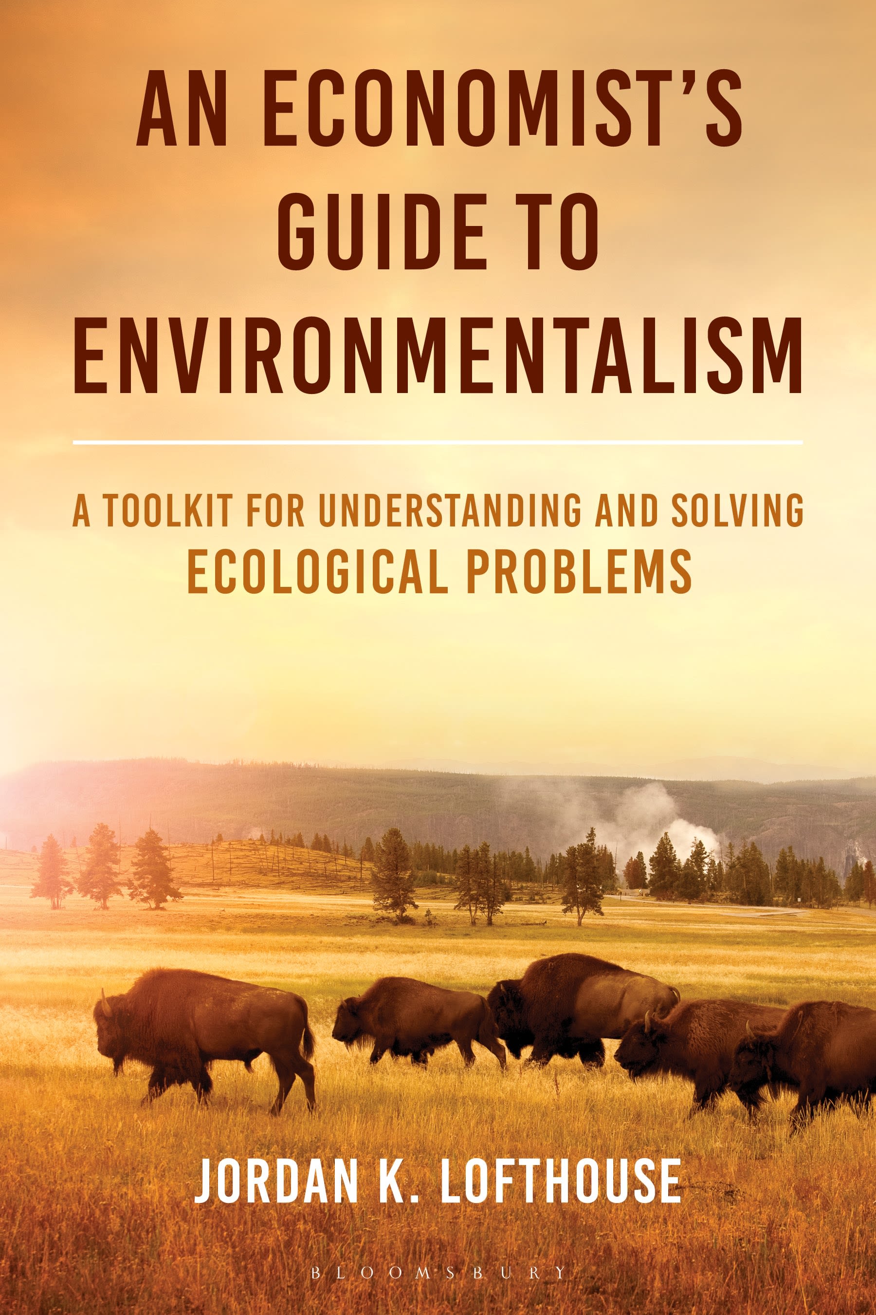 eBook, An Economist's Guide to Environmentalism : A Toolkit for Understanding and Solving Ecological Problems, Bloomsbury Academic