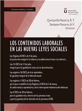 E-book, Los contenidos laborales en las nuevas leyes sociales, Dykinson