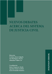 eBook, Nuevos debates acerca del sistema de justicia civil, Dykinson