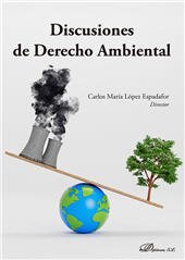 E-book, Discusiones de Derecho Ambiental, Dykinson