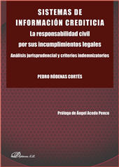 E-book, Sistemas de información crediticia : la responsabilidad civil por sus incumplimientos legales : análisis jurisprudencial y criterios indemnizatorios, Dykinson