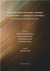 E-book, Perspectivas cruzadas entre códigos y realidades : de la justicia penal y la criminología en Iberoamérica : libro Homenaje a la Dra. Mayda Goite Pierre, Dykinson