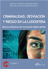 eBook, Criminalidad, desviación y riesgo en la ludosfera : nuevas dinámicas de recreación digital dañina, Dykinson
