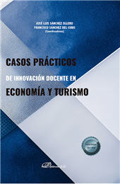 E-book, Casos prácticos de innovación docente en economía y turismo, Dykinson