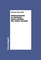 eBook, Problematiche di gestione delle imprese del terzo settore, Franco Angeli