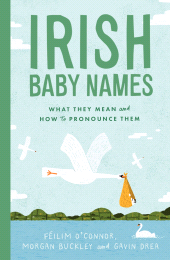 E-book, Irish Baby Names : What they mean and how to pronounce them, Gill Books