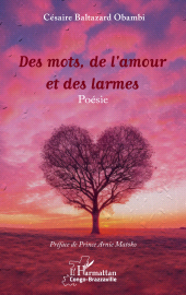 E-book, Des mots, de l'amour et des larmes, L'Harmattan