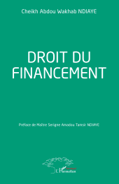 E-book, Droit du financement, L'Harmattan