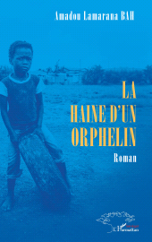 E-book, La haine d'un orphelin, L'Harmattan
