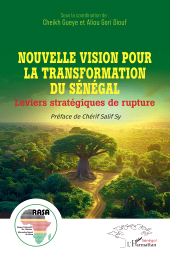 E-book, Nouvelle vision pour la transformation du Sénégal : Leviers stratégiques de rupture, L'Harmattan