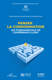 E-book, Penser la consommation : Les fondamentaux de l'expérience client, L'Harmattan
