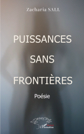 E-book, Puissances sans frontières, L'Harmattan