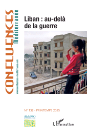 E-book, Liban : au-delà de la guerre, L'Harmattan