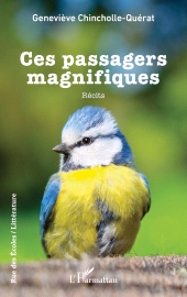 E-book, Ces passagers magnifiques, L'Harmattan