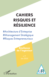 E-book, Résilience de l'Ingénieur : Architecture d'Entreprise, L'Harmattan