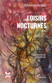 E-book, Les loisirs nocturnes, L'Harmattan