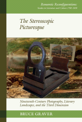 E-book, The Stereoscopic Picturesque : Nineteenth-Century Photography, Literary Landscapes, and the Third Dimension, Liverpool University Press