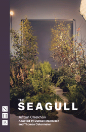 E-book, The Seagull, Nick Hern Books