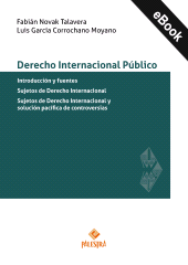 E-book, Derecho Internacional Público, Palestra Editores