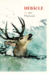 E-book, Débâcle, Paulsen