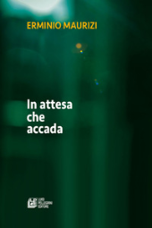 E-book, In attesa che accada, Pellegrini