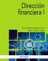 E-book, Dirección financiera I, Ediciones Pirámide
