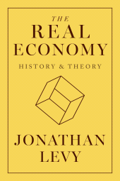 E-book, The Real Economy : History and Theory, Princeton University Press