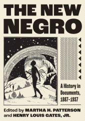 E-book, The New Negro : A History in Documents, 1887-1937, Princeton University Press