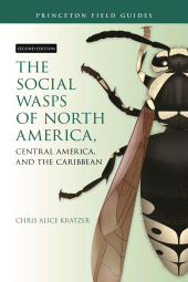 E-book, The Social Wasps of North America, Central America, and the Caribbean, Second Edition, Princeton University Press
